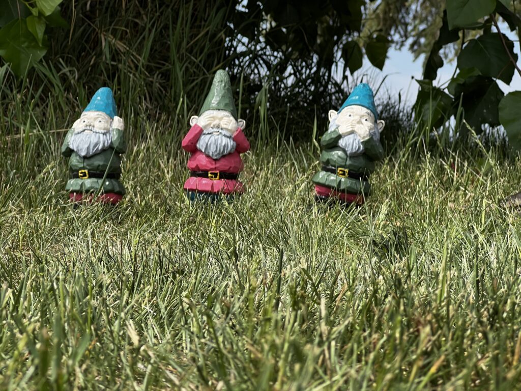 Gnomes